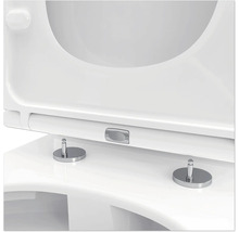 Detailopname van een toiletbril met softclose mechanisme en bevestiging