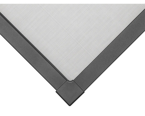 Detailopname van een insectenhor met frame