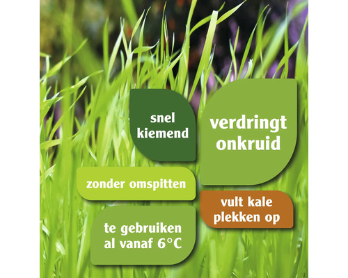 Informatie over gazon: snelle kieming, verdringt onkruid, zonder omspitten, te gebruiken vanaf 6 graden, vult kale plekken op.