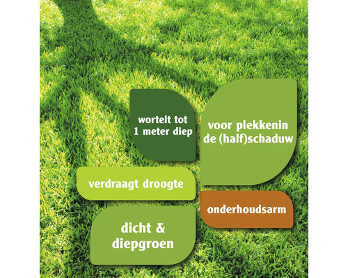 Informatie over de eigenschappen van gazon: wortelt tot 1 meter diep, geschikt voor plaatsen in de (half)schaduw, verdraagt droogte, onderhoudsarm, dicht en diepgroen