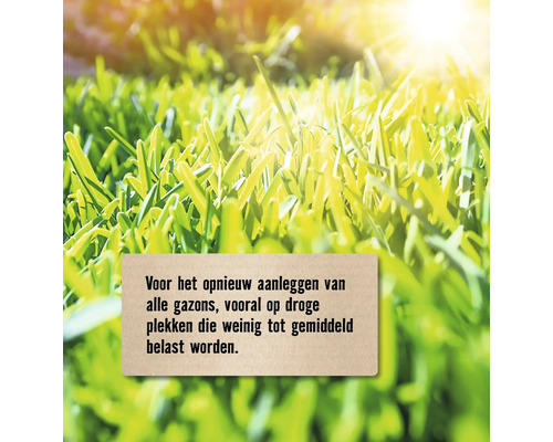 Afbeelding van gras met tekst: voor het opnieuw aanleggen van alle gazons, vooral op droge plekken die weinig tot gemiddeld belast worden