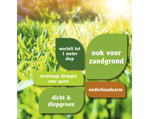 Informatie over gazonkenmerken zoals worteldiepte, droogtetolerantie, geschiktheid voor zandgrond en weinig onderhoud