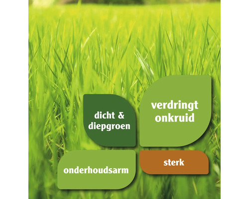 Graseigenschappen: dicht en diepgroen, verdringt onkruid, onderhoudsarm, sterk