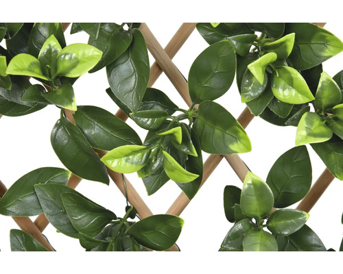 Decoratief klimrek met groene bladeren