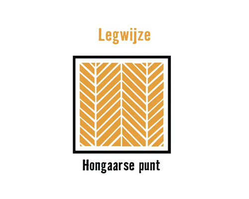 Legwijze Hongaarse punt