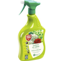 Insecticide tegen bladluizen en spint in een 1 liter spuitfles