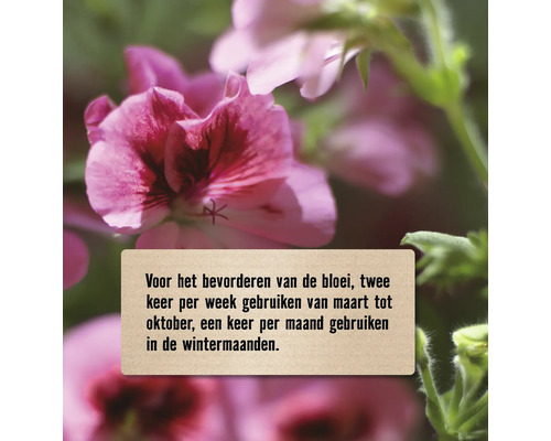 Instructie om de bloei te bevorderen: Gebruik twee keer per week van maart tot oktober, één keer per maand in de wintermaanden.