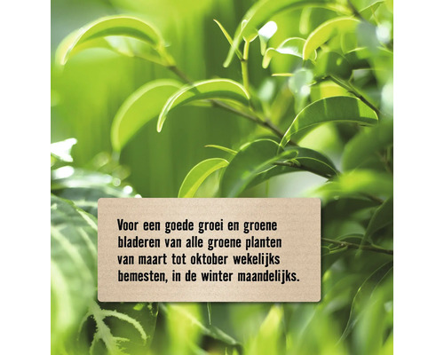 Instructie voor het bemesten van groene planten voor een goede groei en groene bladeren.
