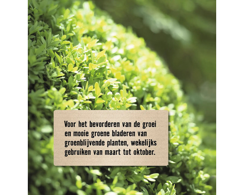 Instructies voor het bevorderen van de groei en mooie groene bladeren van groenblijvende planten, wekelijks gebruiken van maart tot oktober.