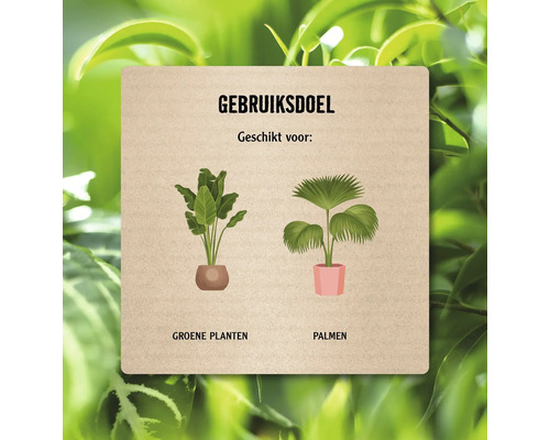 Informatiepaneel met groene planten en palmen