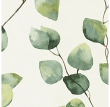 Illustratie met eucalyptusbladeren en takken