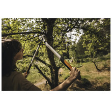 Een vrouw snoeit een boom met een takkenschaar