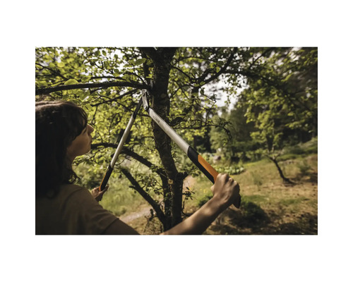 Een vrouw snoeit een boom met een takkenschaar