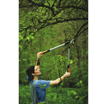 Vrouw snoeit takken met een heggenschaar in de tuin