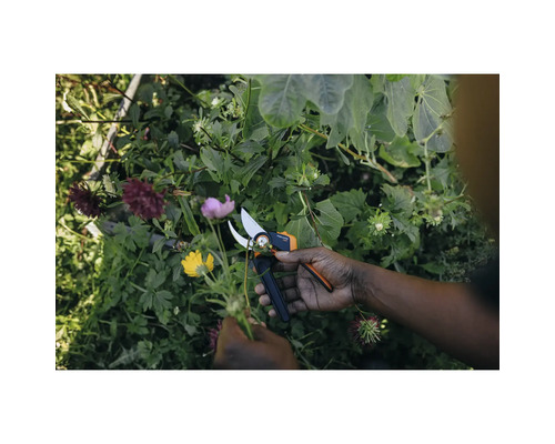 Tuinieren met een snoeischaar in een tuin
