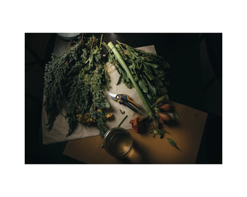 Tuinschaar met verse bloemen en groene planten