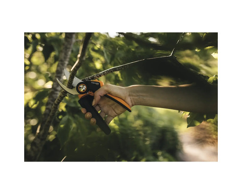 Een persoon snoeit een tak met een snoeischaar.