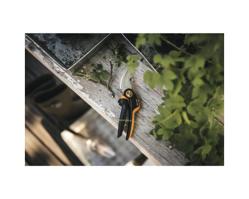 Tuinschaar op houten oppervlak met afgesneden tak