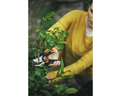 Vrouw snoeit struik met een tuinschaar