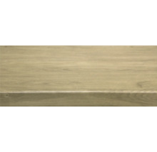 Houttegel met houtlook