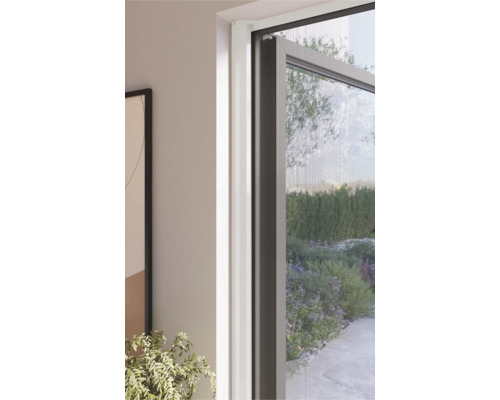 Gedetailleerd aanzicht van een insectenhor op een raam