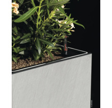 Bloembak met plant en waterniveau-indicator
