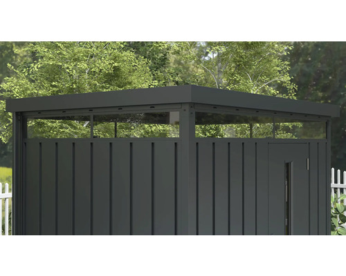 Tuinkast met deur en glazen bovenlicht voor bomen