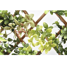 Decoratieve groene planten op klimrooster