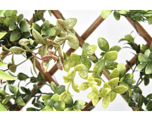 Decoratieve groene planten op klimrooster