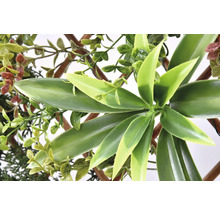 Kunstplant met groene bladeren en houten frame