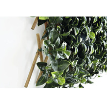 Tuinscherm Gardenia kunststof groen 180 x 90 cm