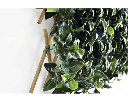 Kunstmatige groene plantenwand met houten frame