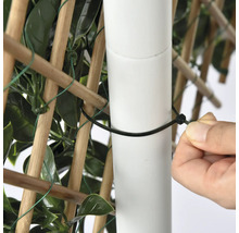 Tuinscherm Gardenia kunststof groen 180 x 90 cm
