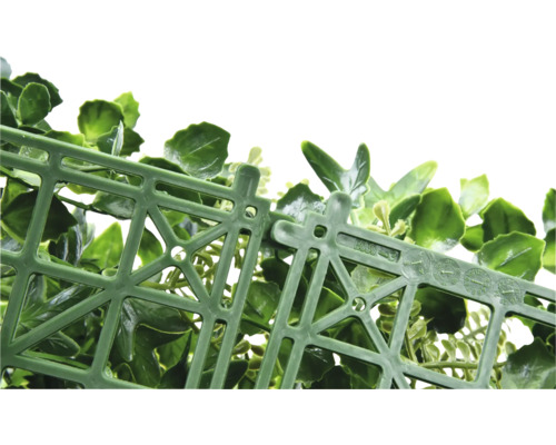 Detailopname van een groene, kunstmatige haag met een kunststof raster als draagmateriaal.