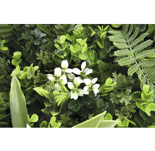 Kunstmatige plantenwand met varen en witte bloemen