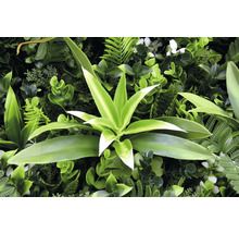 Kunstmatige plantenwand met diverse groene planten