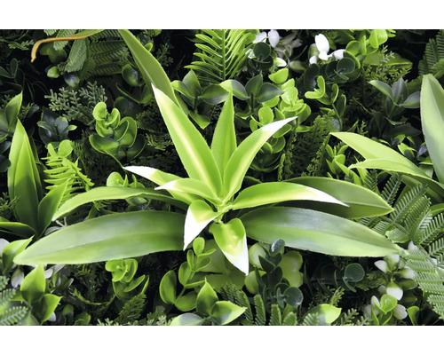 Kunstmatige plantenwand met diverse groene planten