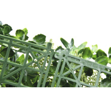 Kunsthaag met verbindingssysteem