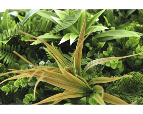 Close-up van een kunstmatige plantenwand met diverse groene bladeren