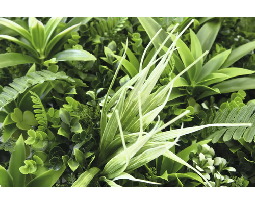 Close-up van een kunstmatige plantenwand met verschillende groene planten