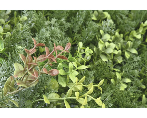 Close-up van een kunstmatige plantenwand met verschillende groene tinten