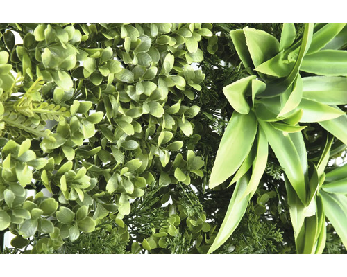 Kunstmatige groene plantenwand met verschillende bladstructuren.