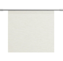 Rolgordijn met houder voor raam