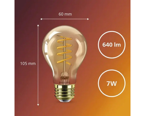 Philips gloeilamp met 640 lumen en 7 watt, afmetingen 60 mm bij 105 mm