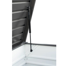 BIOHORT Opbergbox 130 staal antraciet 460 L, 134x62x71 cm