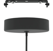 Plafondlamp met montageplaat en schroeven