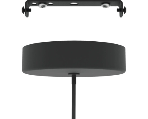 Plafondlamp met montageplaat en schroeven