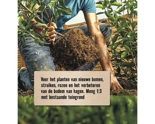 Een man plant een boom met wortelkluit, omringd door aarde en een schutting.