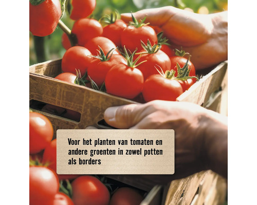 Tomaten in een houten kist voor transport