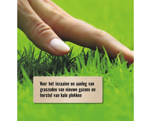 Hand die gras aanraakt voor het inzaaien en aanleggen van graszoden van nieuwe gazons en herstel van kale plekken.